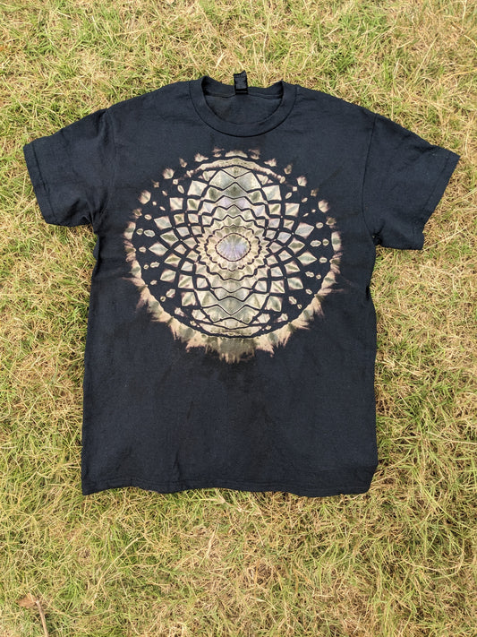 Small Reverse Dark Star